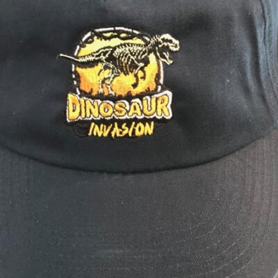 Embroidered Contrast Bronx Cap - Image 19
